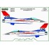 USAF F-16C Viper Demo 2024 50 Years of F-16